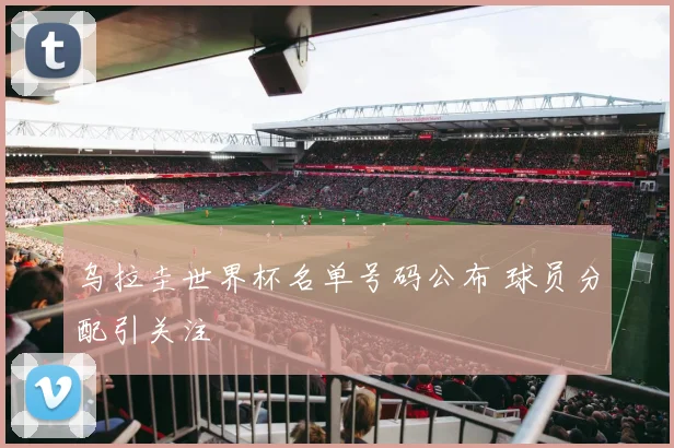 乌拉圭世界杯名单号码公布 球员分配引关注