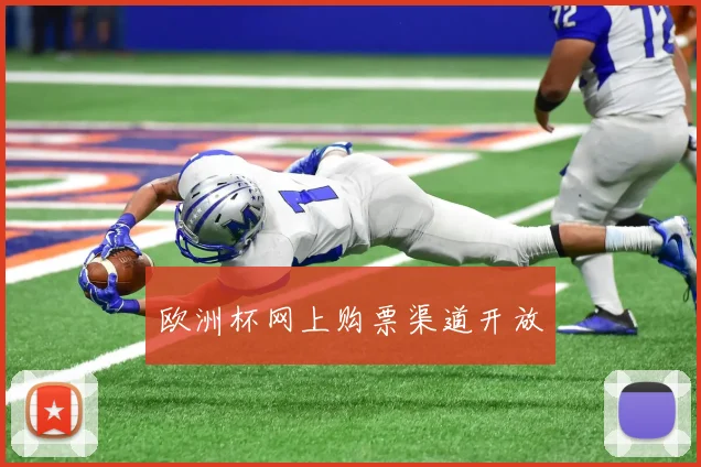 欧洲杯网上购票渠道开放