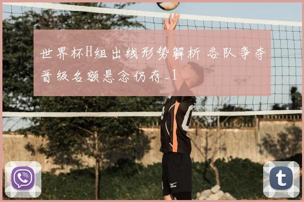 世界杯H组出线形势解析 各队争夺晋级名额悬念仍存_1