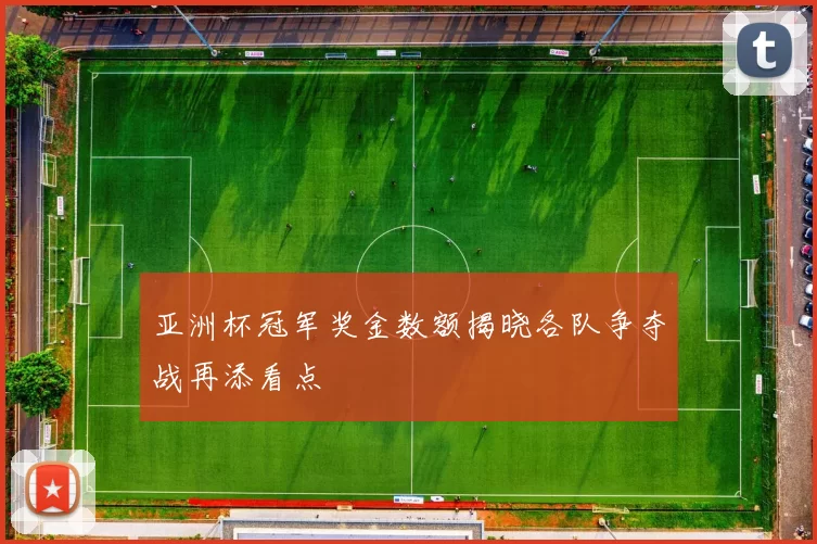 亚洲杯冠军奖金数额揭晓各队争夺战再添看点